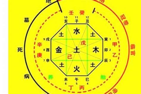 神煞 寡宿|八字中寡宿是什么意思 八字里有寡宿是什么意思